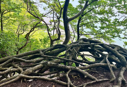 24-07-02 12-47-31 0110